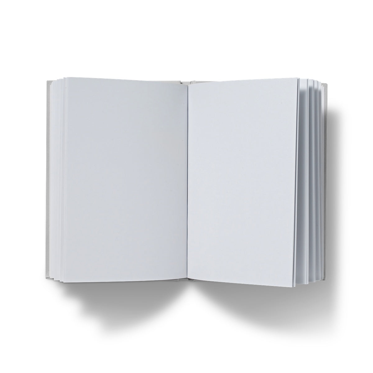 Awakening | Landscape | Hardback | Journal | Notebook